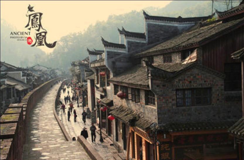 忍者鲨鱼